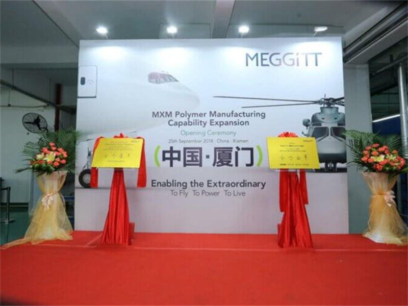 Meggitt Vibro Meter