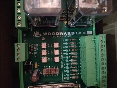 WOODWARD 5466-348 Module​