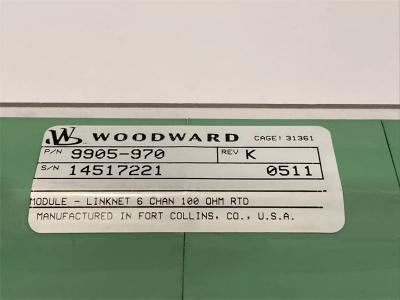 9905-970 Woodward LinkNet 6 CH RTD 100