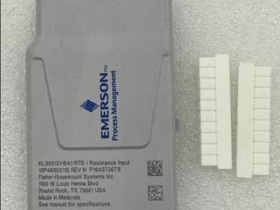 مهره‌های مقاومت RTD امرسون دلتا KL3031X1-BA1 12P4630 SE4303T03