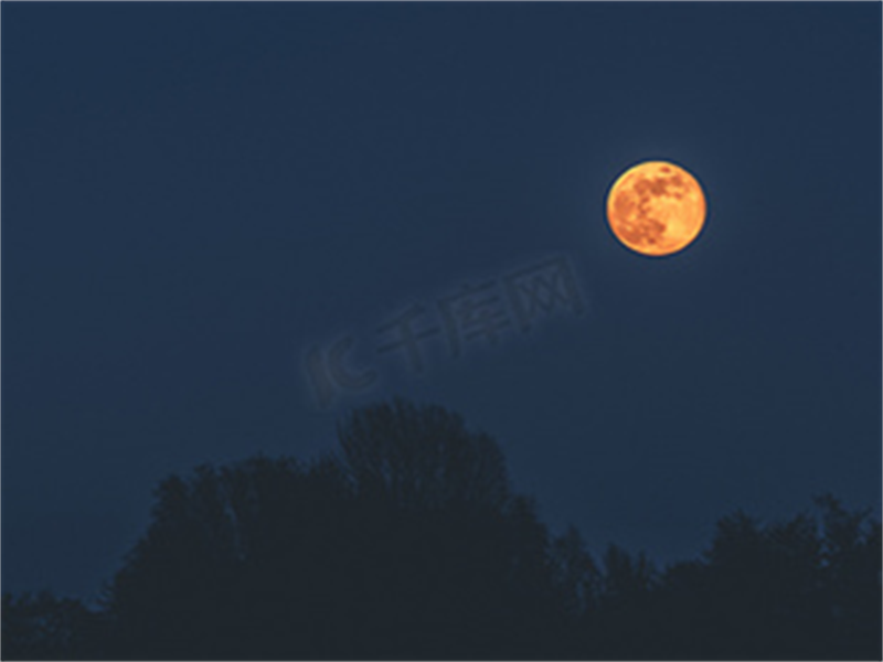 جشنواره ویژه نیمه پاییز - بازی تاس